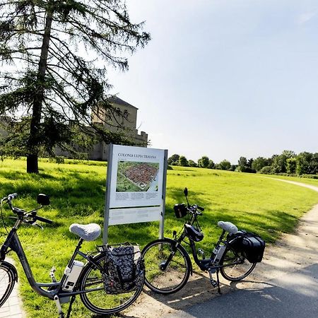 Wohnen Im Alten Amtsgericht Im Herzen Von Xanten Esterno foto